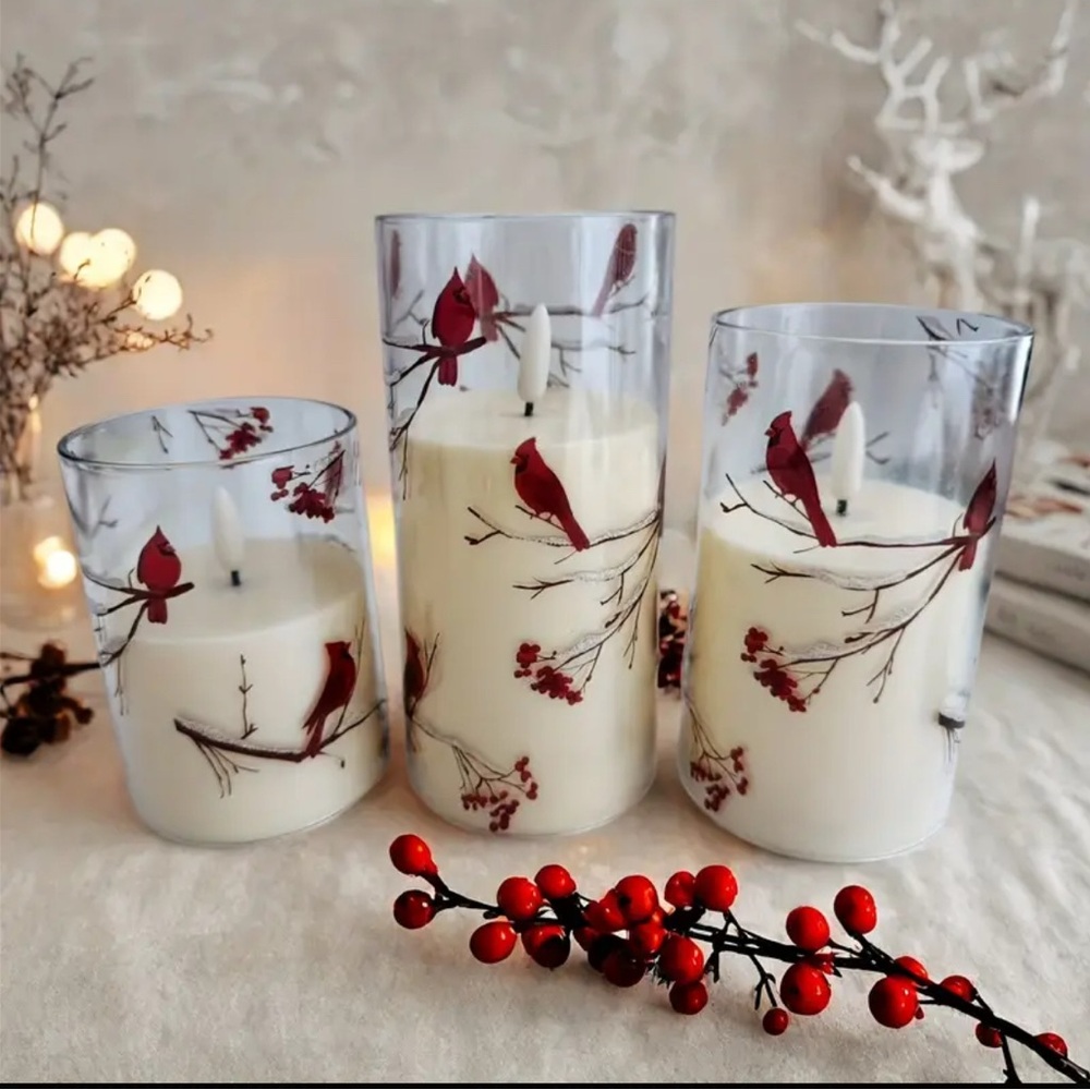 6 piece  set Red Cardinal Candles, throw and matching bracelet bundle. - Picture 5 of 9